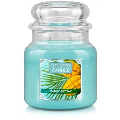 Country Candle Średnia Świeca Zapachowa Z Dwoma Knotami Mango Nectar 453G Country Candle Średnia Świeca Zapachowa Z Dwoma Knotami Mango Nectar 453G