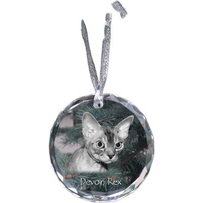 Devon Rex - kryształowa bombka ze zdjęciem, zdjęcia kota w krysztale, personalizowana zawieszka na choinkę marki Art-Dog Devon Rex - kryształowa bombka ze zdjęciem, zdjęcia kota w krysztale, personalizowana zawieszka na choinkę marki Art-Dog