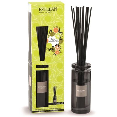 Dyfuzor Zapachowy Z Patyczkami (100 Ml) Terre D'Agrumes Esteban Dyfuzor Zapachowy Z Patyczkami (100 Ml) Terre D'Agrumes Esteban