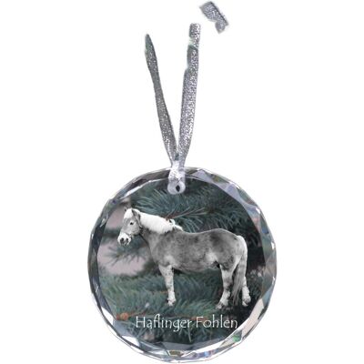Haflinger Fohlen - kryształowa bombka ze zdjęciem, zdjęcia konia w krysztale, personalizowana zawieszka na choinkę marki Art-Dog Haflinger Fohlen - kryształowa bombka ze zdjęciem, zdjęcia konia w krysztale, personalizowana zawieszka na choinkę marki Art-Dog