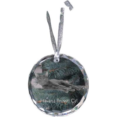 Hawana Brązowa - kryształowa bombka ze zdjęciem, zdjęcia kota w krysztale, personalizowana zawieszka na choinkę marki Art-Dog Hawana Brązowa - kryształowa bombka ze zdjęciem, zdjęcia kota w krysztale, personalizowana zawieszka na choinkę marki Art-Dog