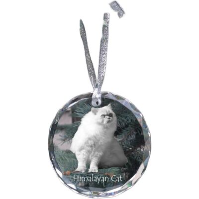 Himalajski - kryształowa bombka ze zdjęciem, zdjęcia kota w krysztale, personalizowana zawieszka na choinkę marki Art-Dog Himalajski - kryształowa bombka ze zdjęciem, zdjęcia kota w krysztale, personalizowana zawieszka na choinkę marki Art-Dog