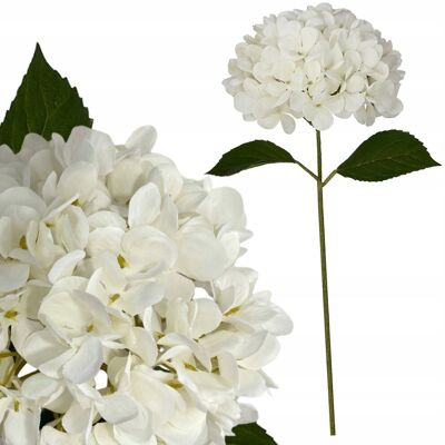 Inny producent HORTENSJA BIAŁA SZTUCZNA ŁODYGA SZTUCZNE KWIATY STROIK BUKIET WAZON 58cm Inny producent HORTENSJA BIAŁA SZTUCZNA ŁODYGA SZTUCZNE KWIATY STROIK BUKIET WAZON 58cm