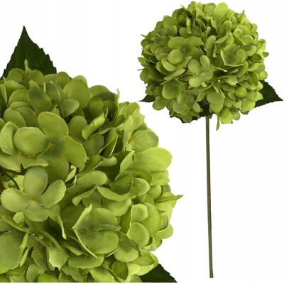 Inny producent HORTENSJA ZIELONA SZTUCZNA SZTUCZNE KWIATY STROIK BUKIET WAZON 58cm Inny producent HORTENSJA ZIELONA SZTUCZNA SZTUCZNE KWIATY STROIK BUKIET WAZON 58cm