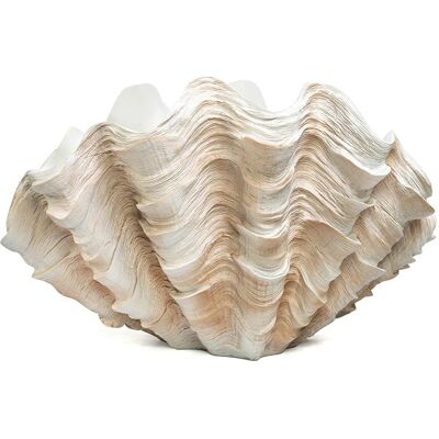 Kare Design KARE wazon dekoracyjny CONCHA 29 cm Kare Design KARE wazon dekoracyjny CONCHA 29 cm