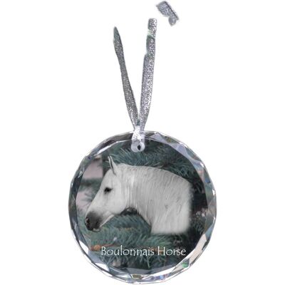 Koń Boulonnais - kryształowa bombka ze zdjęciem, zdjęcia konia w krysztale, personalizowana zawieszka na choinkę marki Art-Dog Koń Boulonnais - kryształowa bombka ze zdjęciem, zdjęcia konia w krysztale, personalizowana zawieszka na choinkę marki Art-Dog