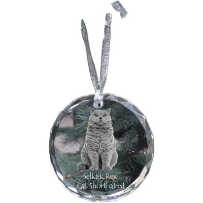 Kot Selkirk Rex krótkowłosy - kryształowa bombka ze zdjęciem, zdjęcia kota w krysztale, personalizowana zawieszka na choinkę marki Art-Dog Kot Selkirk Rex krótkowłosy - kryształowa bombka ze zdjęciem, zdjęcia kota w krysztale, personalizowana zawieszka na choinkę marki Art-Dog