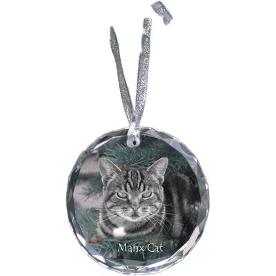 Manx - kryształowa bombka ze zdjęciem, zdjęcia kota w krysztale, personalizowana zawieszka na choinkę marki Art-Dog Manx - kryształowa bombka ze zdjęciem, zdjęcia kota w krysztale, personalizowana zawieszka na choinkę marki Art-Dog