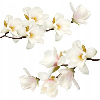 Inny producent naklejki na ścianę BIAŁA MAGNOLIA 50x100cm Inny producent naklejki na ścianę BIAŁA MAGNOLIA 50x100cm