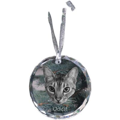 Ocicat - kryształowa bombka ze zdjęciem, zdjęcia kota w krysztale, personalizowana zawieszka na choinkę marki Art-Dog Ocicat - kryształowa bombka ze zdjęciem, zdjęcia kota w krysztale, personalizowana zawieszka na choinkę marki Art-Dog