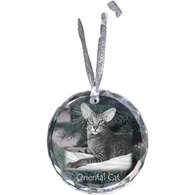 Oriental - kryształowa bombka ze zdjęciem, zdjęcia kota w krysztale, personalizowana zawieszka na choinkę marki Art-Dog Oriental - kryształowa bombka ze zdjęciem, zdjęcia kota w krysztale, personalizowana zawieszka na choinkę marki Art-Dog