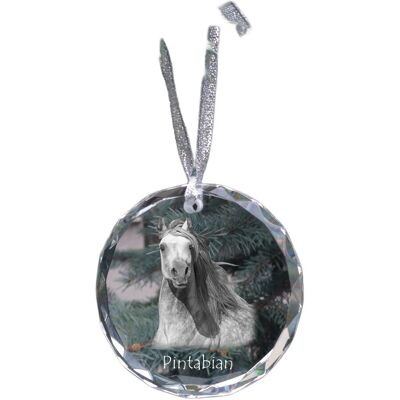 Pintabian - kryształowa bombka ze zdjęciem, zdjęcia konia w krysztale, personalizowana zawieszka na choinkę marki Art-Dog Pintabian - kryształowa bombka ze zdjęciem, zdjęcia konia w krysztale, personalizowana zawieszka na choinkę marki Art-Dog