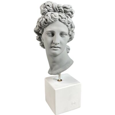 Inny producent Rzeźba Apollo Head M Grey Cc Design Inny producent Rzeźba Apollo Head M Grey Cc Design