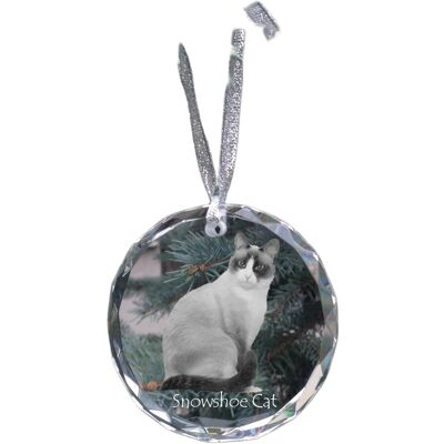 Śnieżny but - kryształowa bombka ze zdjęciem, zdjęcia kota w krysztale, personalizowana zawieszka na choinkę marki Art-Dog Śnieżny but - kryształowa bombka ze zdjęciem, zdjęcia kota w krysztale, personalizowana zawieszka na choinkę marki Art-Dog