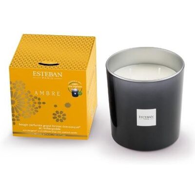 Świeca Zapachowa (450 G) Ambre Esteban Świeca Zapachowa (450 G) Ambre Esteban