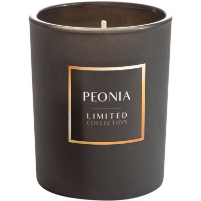 Świeca zapachowa Peonia o zapachu peonii w szkle ozdobnym 200g LIMITED COLLECTION Eurofirany Świeca zapachowa Peonia o zapachu peonii w szkle ozdobnym 200g LIMITED COLLECTION Eurofirany