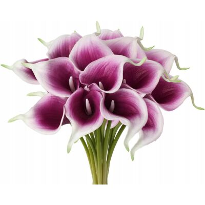 Inny producent Sztuczne kwiaty lilia calla 20 szt. biało-fioletowe 35 cm dekoracja Inny producent Sztuczne kwiaty lilia calla 20 szt. biało-fioletowe 35 cm dekoracja