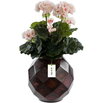 Botle Wazon ceramiczny geometryczny 3D Brązowy Ø11 H 22 cm intensywny kolor Botle Wazon ceramiczny geometryczny 3D Brązowy Ø11 H 22 cm intensywny kolor