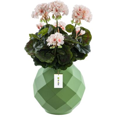 Botle Wazon ceramiczny geometryczny 3D Zielony Ø11 H 22 cm intensywny kolor Botle Wazon ceramiczny geometryczny 3D Zielony Ø11 H 22 cm intensywny kolor