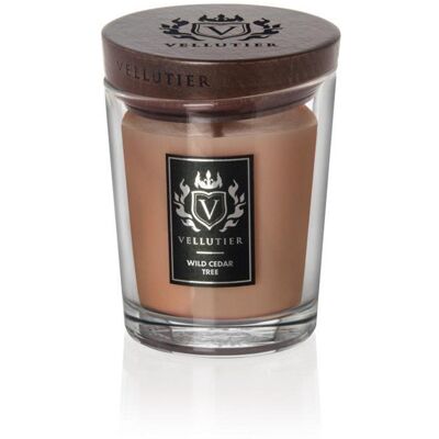 Inny producent Wild Cedar Tree Vellutier 225 G Inny producent Wild Cedar Tree Vellutier 225 G