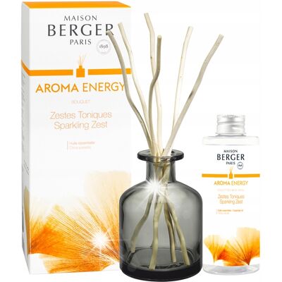 Maison Berger Paris Zestaw Patyczki 180ml + Olejek Zapachowy Aroma Energy Maison Berger Paris Zestaw Patyczki 180ml + Olejek Zapachowy Aroma Energy