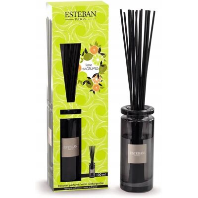 Esteban Odświeżacz Powietrza Zapach Do Domu Dyfuzor Premium 100ml Terre D'Ages Esteban Odświeżacz Powietrza Zapach Do Domu Dyfuzor Premium 100ml Terre D'Ages