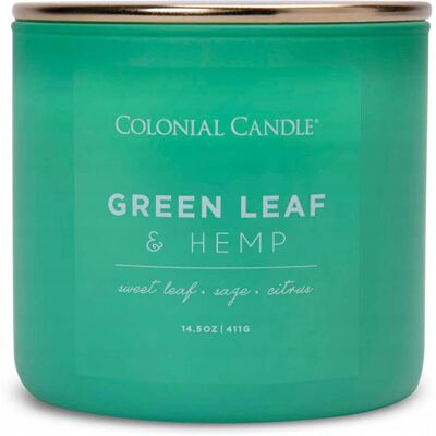 Colonial Candle ŚWIECZKA zapachowa POP OF COLOR Green Leaf & Hemp Colonial Candle ŚWIECZKA zapachowa POP OF COLOR Green Leaf & Hemp