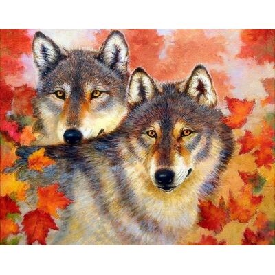 Norimpex Malowanie Po Numerach 40 X 50 Cm Wilk I Wilczyca Norimpex Malowanie Po Numerach 40 X 50 Cm Wilk I Wilczyca