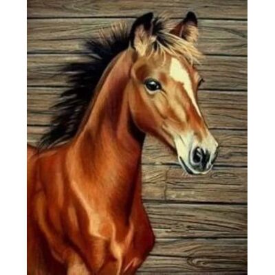 Norimpex Malowanie Po Numerach Koń 40 X 50 5668 (31416) Norimpex Malowanie Po Numerach Koń 40 X 50 5668 (31416)