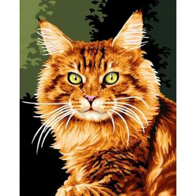 Norimpex Malowanie Po Numerach Kot Rudy 40 X 50 Norimpex Malowanie Po Numerach Kot Rudy 40 X 50