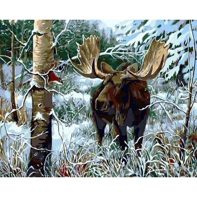 Norimpex Malowanie Po Numerach Łoś W Zimowym Lesie 40x50cm 1005693 Norimpex Malowanie Po Numerach Łoś W Zimowym Lesie 40x50cm 1005693