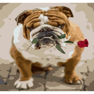 Norimpex Malowanie Po Numerach Bulldog Z Różą Norimpex Malowanie Po Numerach Bulldog Z Różą