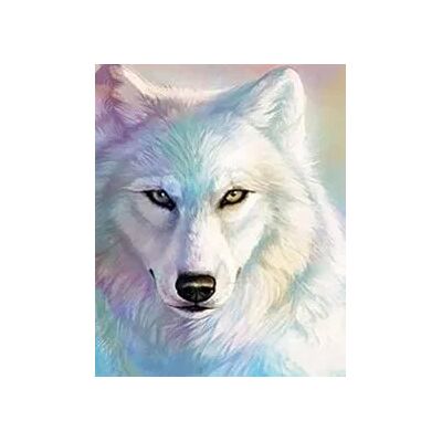 Norimpex Zestawy Diy Malowanie Po Numerach Wilk Norimpex Zestawy Diy Malowanie Po Numerach Wilk