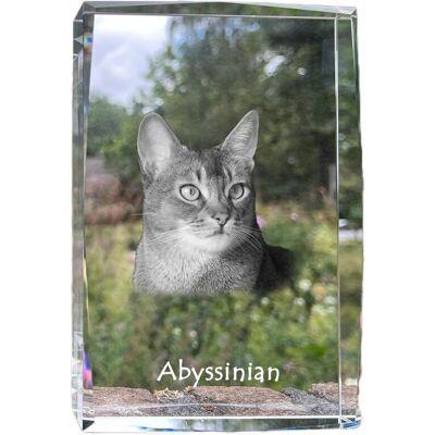 Abisyński Kryształ Z Kotem - Personalizowana Ramka Art-Dog Abisyński Kryształ Z Kotem - Personalizowana Ramka Art-Dog