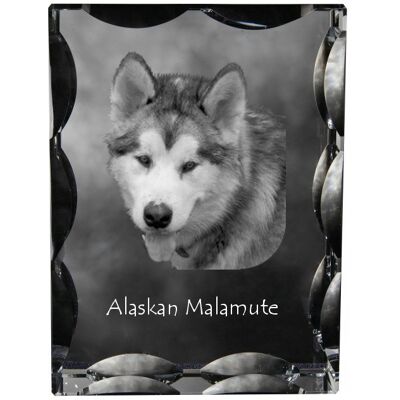 ART Alaskan Malamute - Kryształ Ze Zdjęciem Psa, Szklana Statuetka Ze Zdjęciem, ART Alaskan Malamute - Kryształ Ze Zdjęciem Psa, Szklana Statuetka Ze Zdjęciem,