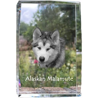 ART Alaskan Malamute - Kryształ Ze Zdjęciem Psa, Zdjęcie W Szkle, Nowoczesna Ek ART Alaskan Malamute - Kryształ Ze Zdjęciem Psa, Zdjęcie W Szkle, Nowoczesna Ek