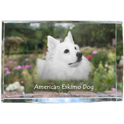 ART American Eskimo Dog, American Spitz - Kryształ Ze Zdjęciem Psa, Zdjęcie W S ART American Eskimo Dog, American Spitz - Kryształ Ze Zdjęciem Psa, Zdjęcie W S