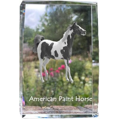 ART American Paint Horse - Kryształ Ze Zdjęciem Konia, Zdjęcie W Szkle, Nowocze ART American Paint Horse - Kryształ Ze Zdjęciem Konia, Zdjęcie W Szkle, Nowocze