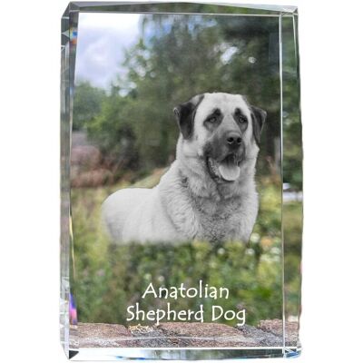ART Anatolijski Pies Pasterski, Owczarek Anatolijski - Kryształ Ze Zdjęciem Psa ART Anatolijski Pies Pasterski, Owczarek Anatolijski - Kryształ Ze Zdjęciem Psa