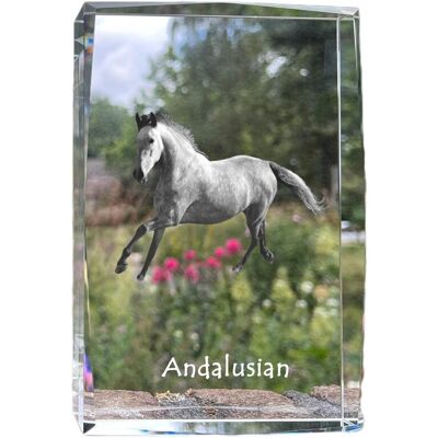 Andaluzyjski - kryształ ze zdjęciem konia, zdjęcie w szkle, nowoczesna ekspozycja zdjęcia marki Art-Dog Andaluzyjski - kryształ ze zdjęciem konia, zdjęcie w szkle, nowoczesna ekspozycja zdjęcia marki Art-Dog