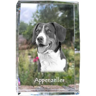 Appenzeller, Pies górski z Appenzell - kryształ ze zdjęciem psa, zdjęcie w szkle, nowoczesna ekspozycja zdjęcia marki Art-Dog Appenzeller, Pies górski z Appenzell - kryształ ze zdjęciem psa, zdjęcie w szkle, nowoczesna ekspozycja zdjęcia marki Art-Dog
