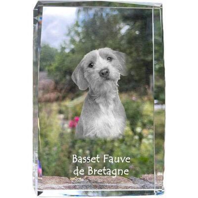 ART Basset Bretoński, Basset Fauve De Bretagne - Kryształ Ze Zdjęciem Psa, Zdję ART Basset Bretoński, Basset Fauve De Bretagne - Kryształ Ze Zdjęciem Psa, Zdję