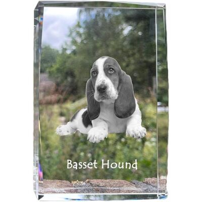 ART Basset Hound - Kryształ Ze Zdjęciem Psa, Zdjęcie W Szkle, Nowoczesna Ekspoz ART Basset Hound - Kryształ Ze Zdjęciem Psa, Zdjęcie W Szkle, Nowoczesna Ekspoz