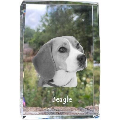 ART Beagle - Kryształ Ze Zdjęciem Psa, Zdjęcie W Szkle, Nowoczesna Ekspozycja Z ART Beagle - Kryształ Ze Zdjęciem Psa, Zdjęcie W Szkle, Nowoczesna Ekspozycja Z