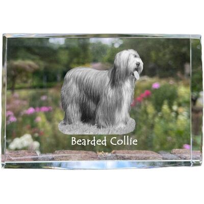 ART Bearded Collie, Highland Collie - Kryształ Ze Zdjęciem Psa, Zdjęcie W Szkle ART Bearded Collie, Highland Collie - Kryształ Ze Zdjęciem Psa, Zdjęcie W Szkle