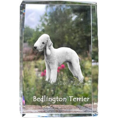 ART Bedlington Terrier, Rothbury Terrier - Kryształ Ze Zdjęciem Psa, Zdjęcie W ART Bedlington Terrier, Rothbury Terrier - Kryształ Ze Zdjęciem Psa, Zdjęcie W