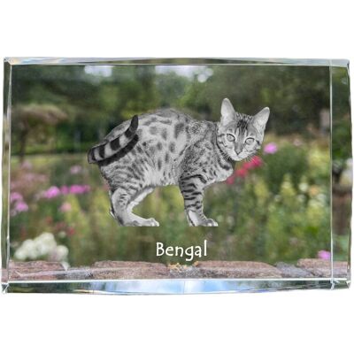 ART Bengalski - Kryształ Ze Zdjęciem Kota, Zdjęcie W Szkle, Nowoczesna Ekspozyc ART Bengalski - Kryształ Ze Zdjęciem Kota, Zdjęcie W Szkle, Nowoczesna Ekspozyc