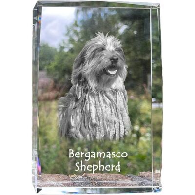 ART Bergamasco, Owczarek Z Bergamo - Kryształ Ze Zdjęciem Psa, Zdjęcie W Szkle, ART Bergamasco, Owczarek Z Bergamo - Kryształ Ze Zdjęciem Psa, Zdjęcie W Szkle,