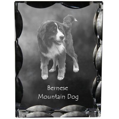 ART Berneński Pies Pasterski, Bernese Mountain Dog - Kryształ Ze Zdjęciem Psa, ART Berneński Pies Pasterski, Bernese Mountain Dog - Kryształ Ze Zdjęciem Psa,