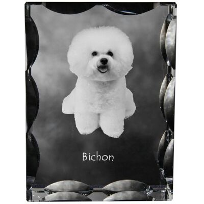 ART Bichon Frise, Tenerife Dog - Kryształ Ze Zdjęciem Psa, Szklana Statuetka Ze ART Bichon Frise, Tenerife Dog - Kryształ Ze Zdjęciem Psa, Szklana Statuetka Ze